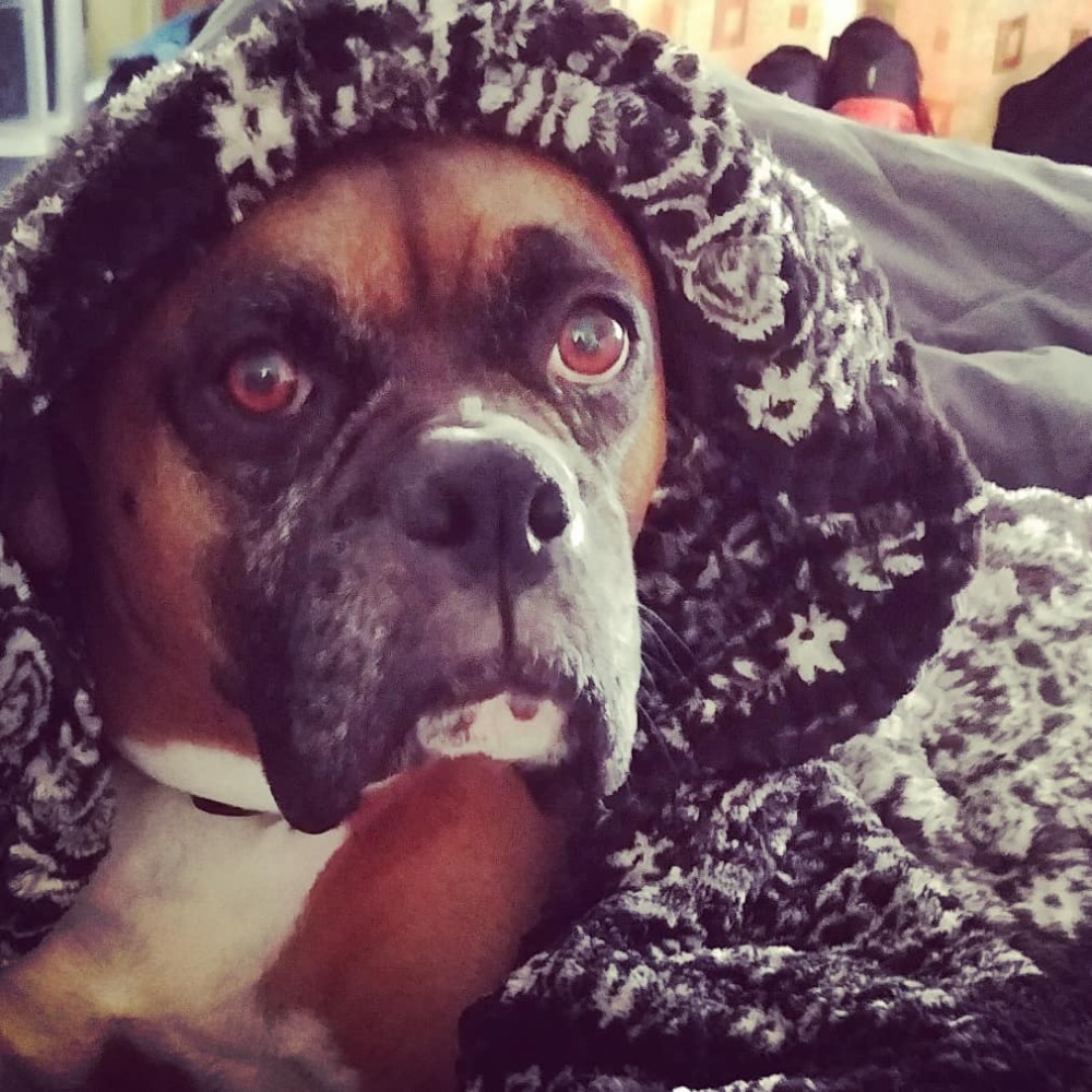 Meet your Posher, Nathan